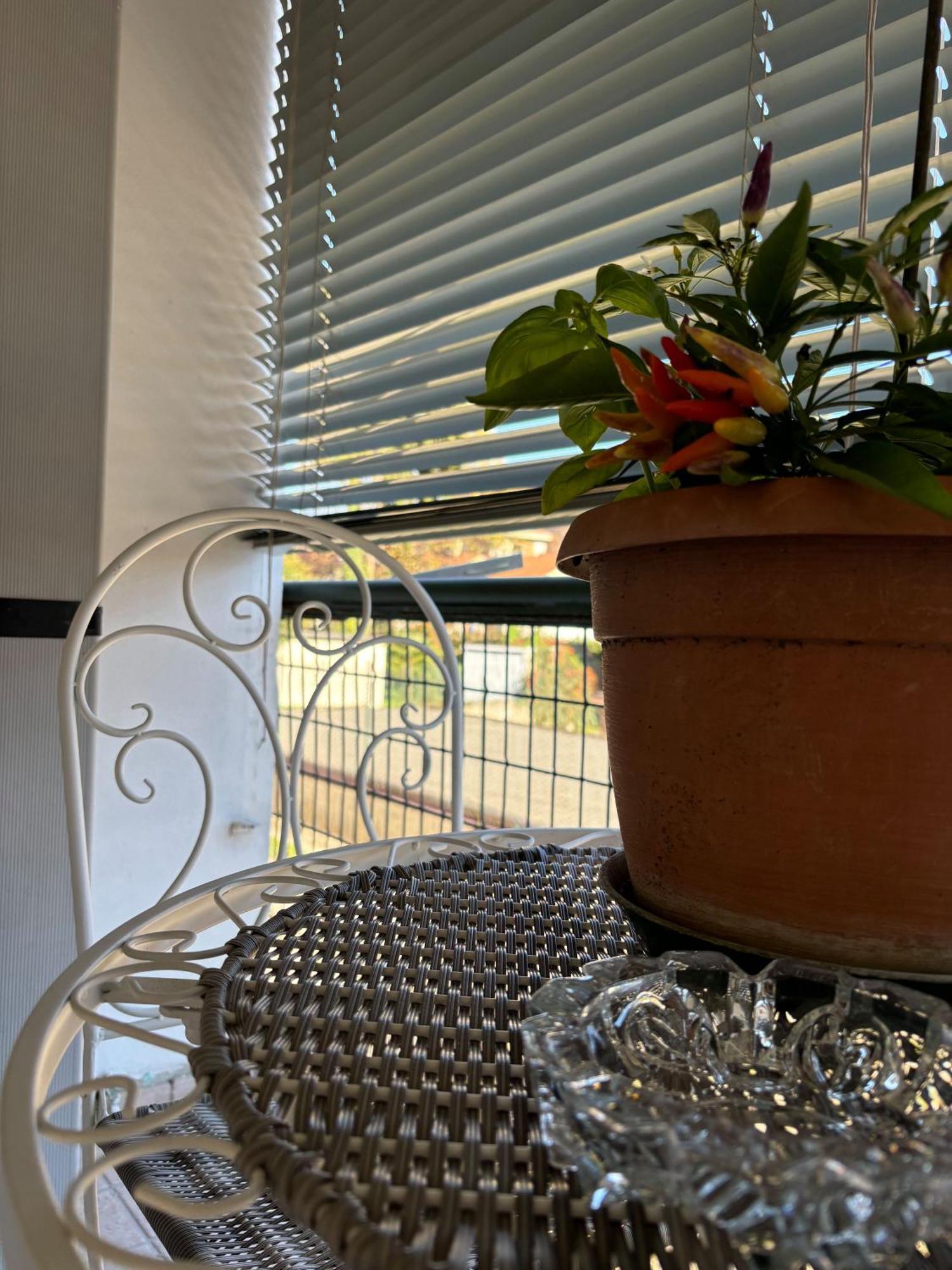 B&B Stella Somma Lombardo Buitenkant foto